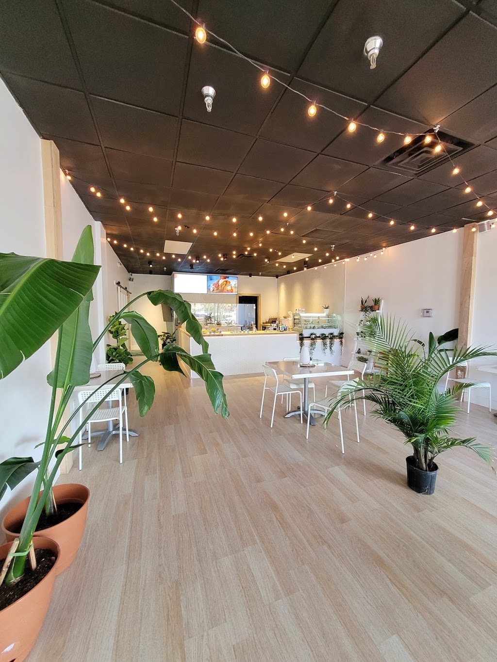 Agave Vegan Bakery | restaurant | 8620 Griffin Rd, Cooper City, FL 33328, USA | 9549095380 OR +1 954-909-5380