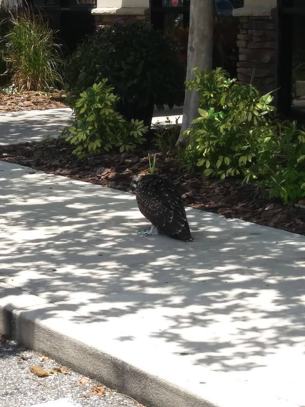 Starbucks | cafe | 6892 S Orange Blossom Trail, Orlando, FL 32809, USA | 4078545217 OR +1 407-854-5217