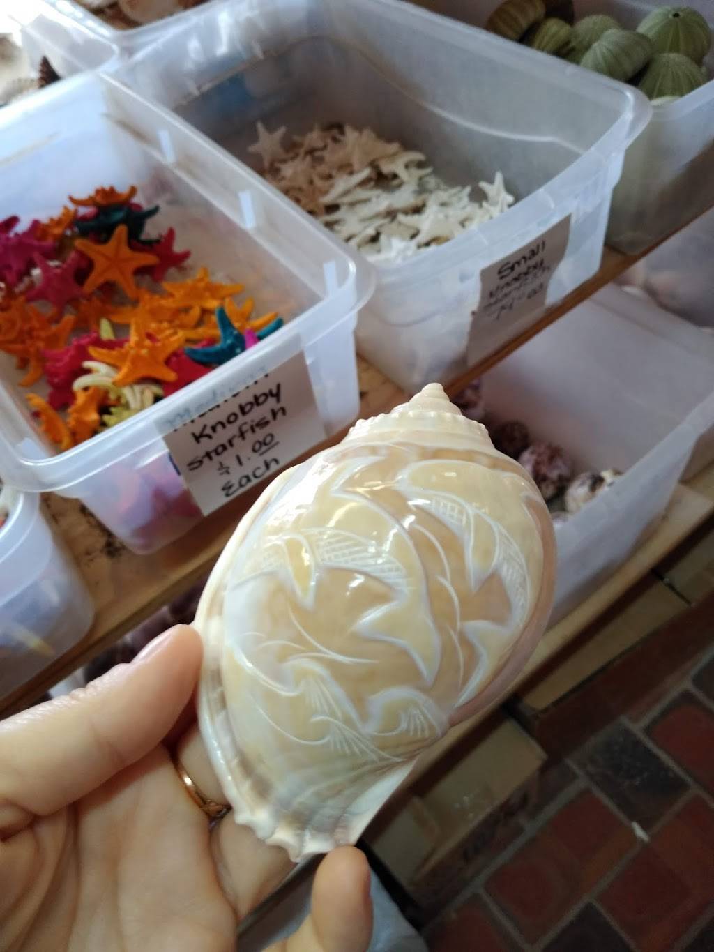 Lobster Shack | restaurant | 86700 Overseas Hwy, Islamorada, FL 33036, USA | 9542600469 OR +1 954-260-0469