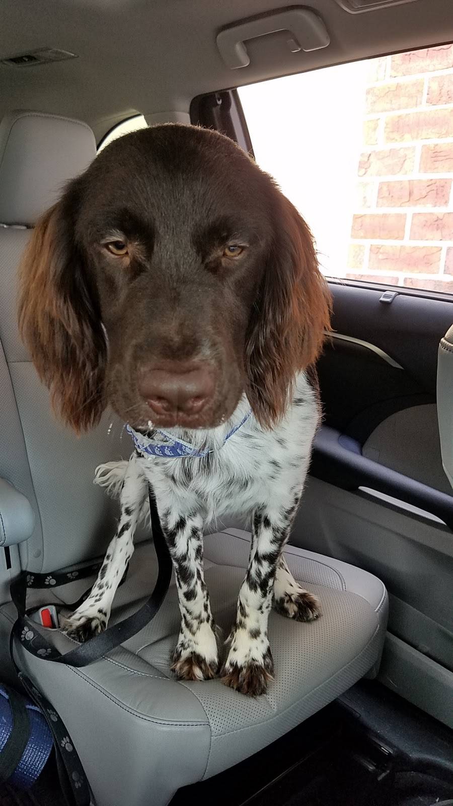 Starbucks | cafe | 6401 E Lloyd Expy, Evansville, IN 47715, USA | 8124011771 OR +1 812-401-1771