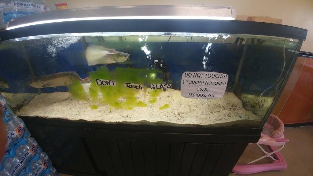 China Garden Restaurant | restaurant | 3435 Wrightsboro Rd, Augusta, GA 30909, USA | 7066678888 OR +1 706-667-8888