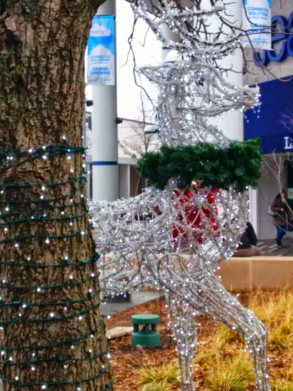 Starbucks | cafe | 701 Oakbrook Center, Oak Brook, IL 60523, USA | 6305712024 OR +1 630-571-2024