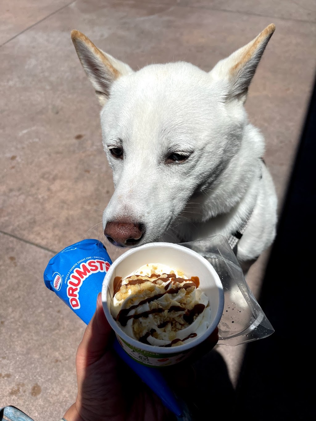 Woofpak Pet Kitchen | restaurant | 771 Spectrum Center Dr, Irvine, CA 92618, USA | 9499320565 OR +1 949-932-0565