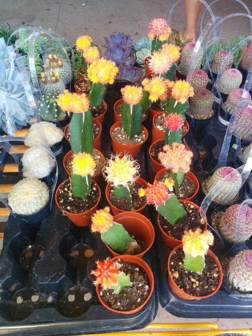 Subterranean Coffee Boutique North Park | cafe | 3764 30th St, San Diego, CA 92104, USA | 6197800916 OR +1 619-780-0916