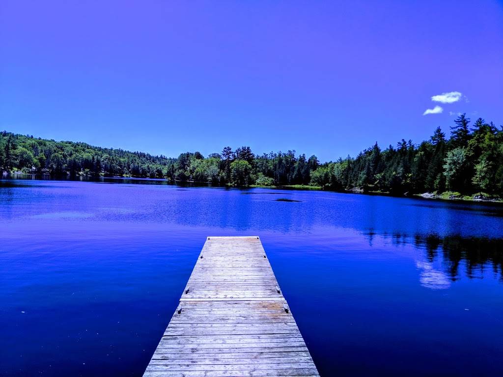 River Club Portage | restaurant | 15 Rue Main, Portage-du-Fort, QC J0X 2T0, Canada | 8196475399 OR +1 819-647-5399