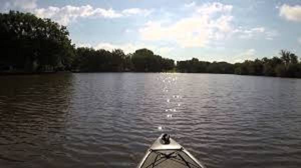 The Lucky Frog Bar and Grill | restaurant | 313 N Salina St, McCausland, IA 52758, USA | 5632253764 OR +1 563-225-3764