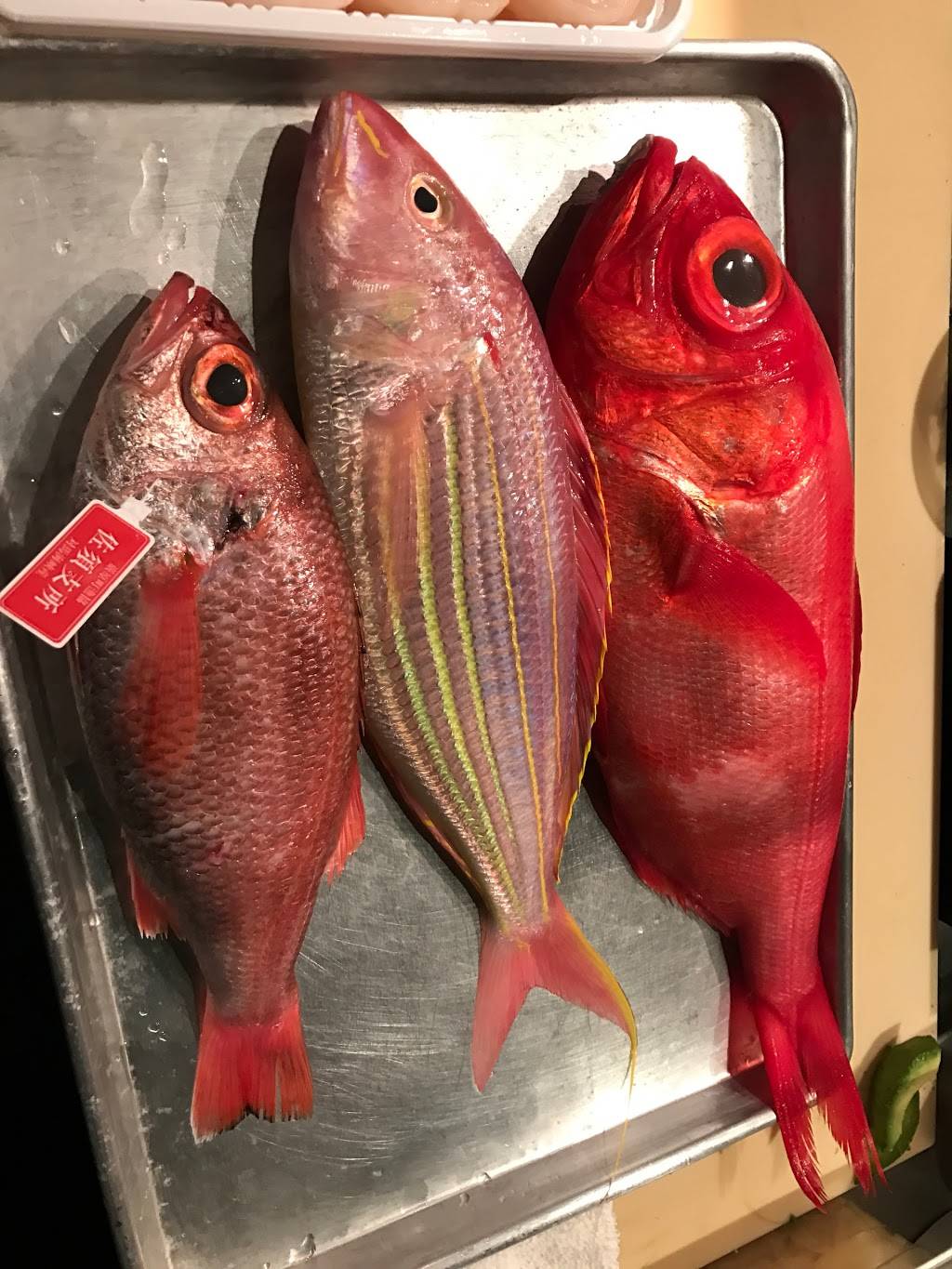 Umami Restaurant and Sushi Bar | restaurant | 3042 W New Haven Ave, West Melbourne, FL 32904, USA | 3216765159 OR +1 321-676-5159