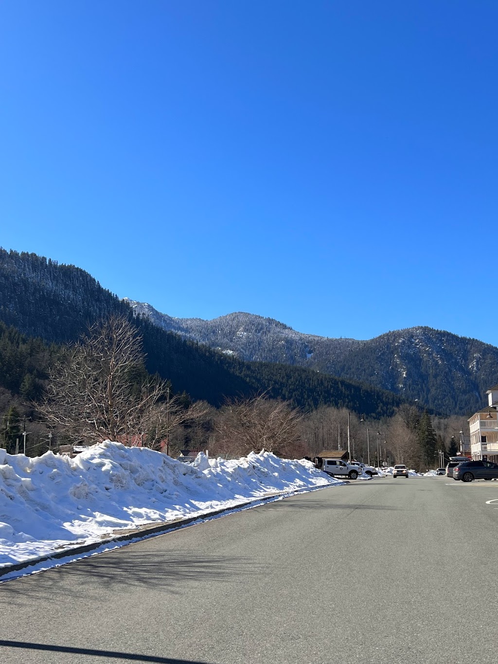 Cascadia Cafe | restaurant | 210 E Railroad Ave, Skykomish, WA 98288, USA | 3606772569 OR +1 360-677-2569