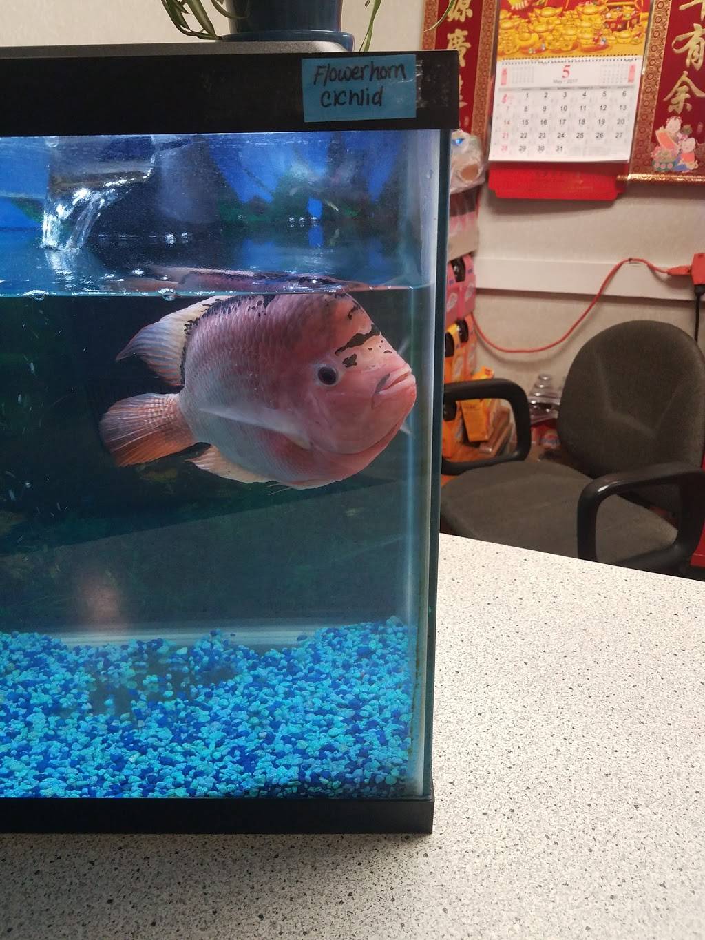 New Dragon One Chinese Restaurant | restaurant | 721 E Broad St, Columbus, OH 43203, USA | 6142239828 OR +1 614-223-9828