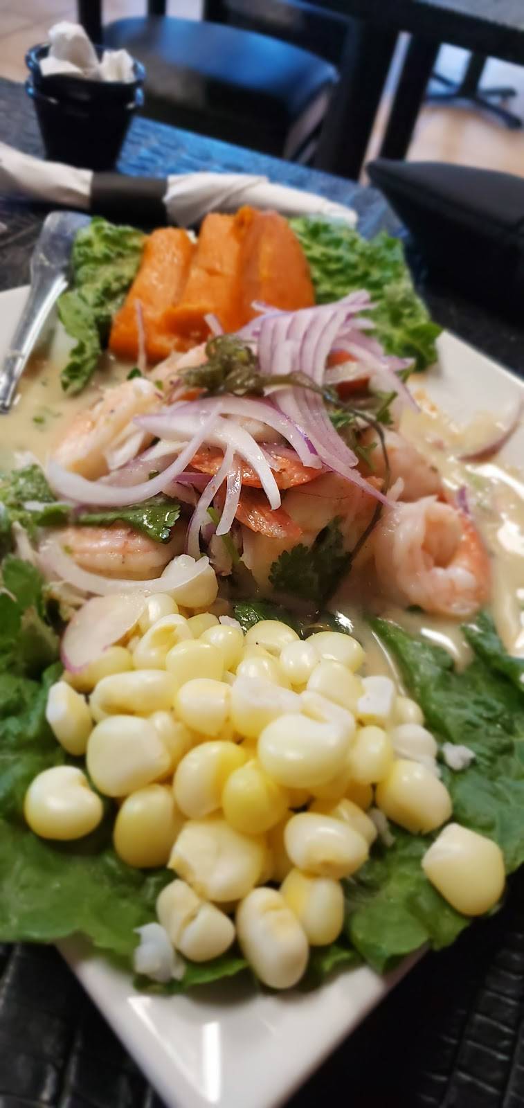 Taste of Peru | restaurant | 9521 S Orange Blossom Trail #117A, Orlando, FL 32837, USA | 4078572734 OR +1 407-857-2734