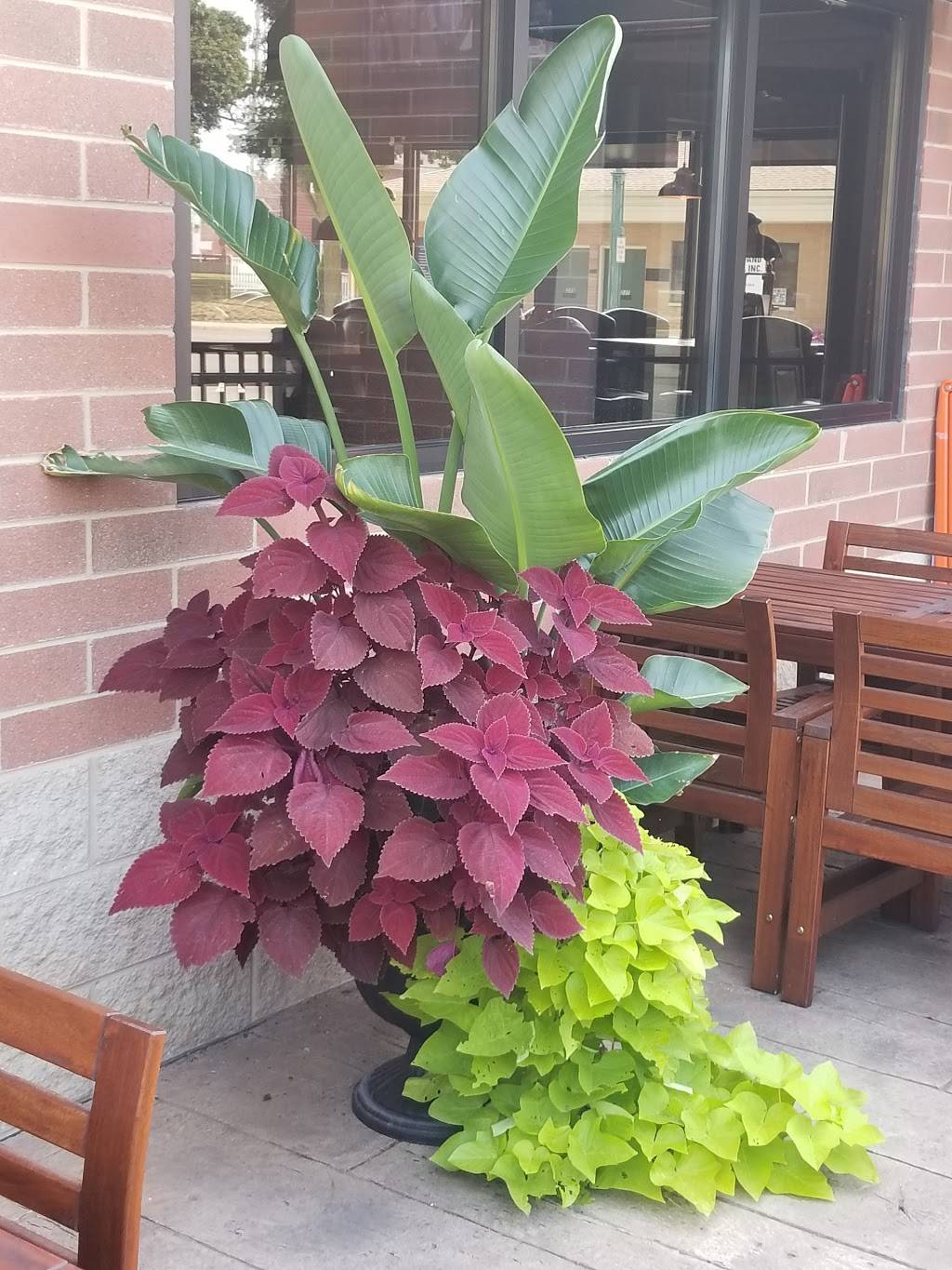 Chomp Burger | restaurant | 240 N Main St, Adrian, MI 49221, USA | 5174388384 OR +1 517-438-8384