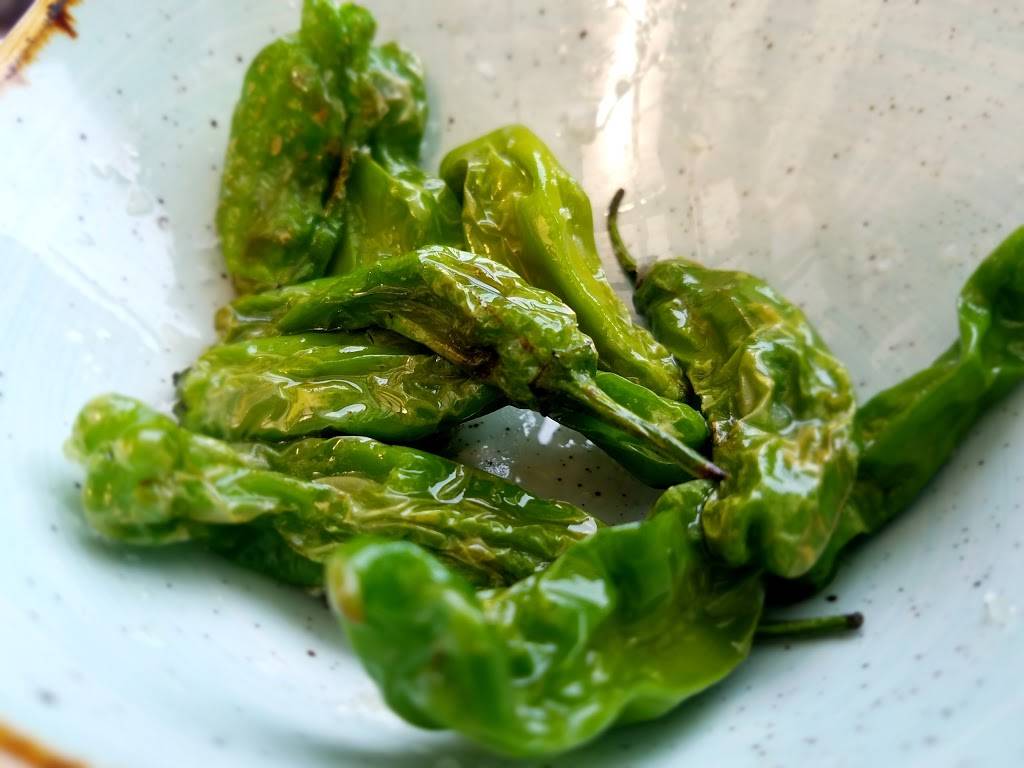 Bar Bocce | restaurant | 1250 Bridgeway, Sausalito, CA 94965, USA | 4153310555 OR +1 415-331-0555