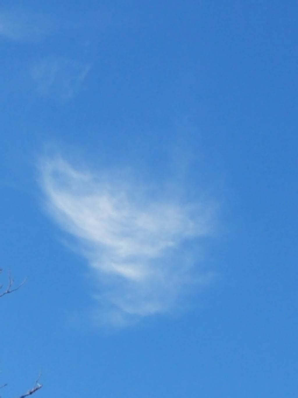 Picantes Mexican Restaurant | restaurant | 913 S Euclid St, Anaheim, CA 92802, USA | 7149914111 OR +1 714-991-4111