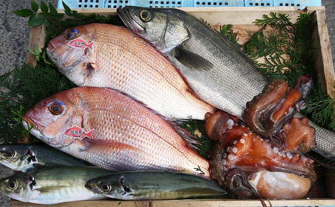 Zen Sushi & Sake | restaurant | 3070 Lakecrest Cir Ste 500, Lexington, KY 40513, USA | 8592192166 OR +1 859-219-2166