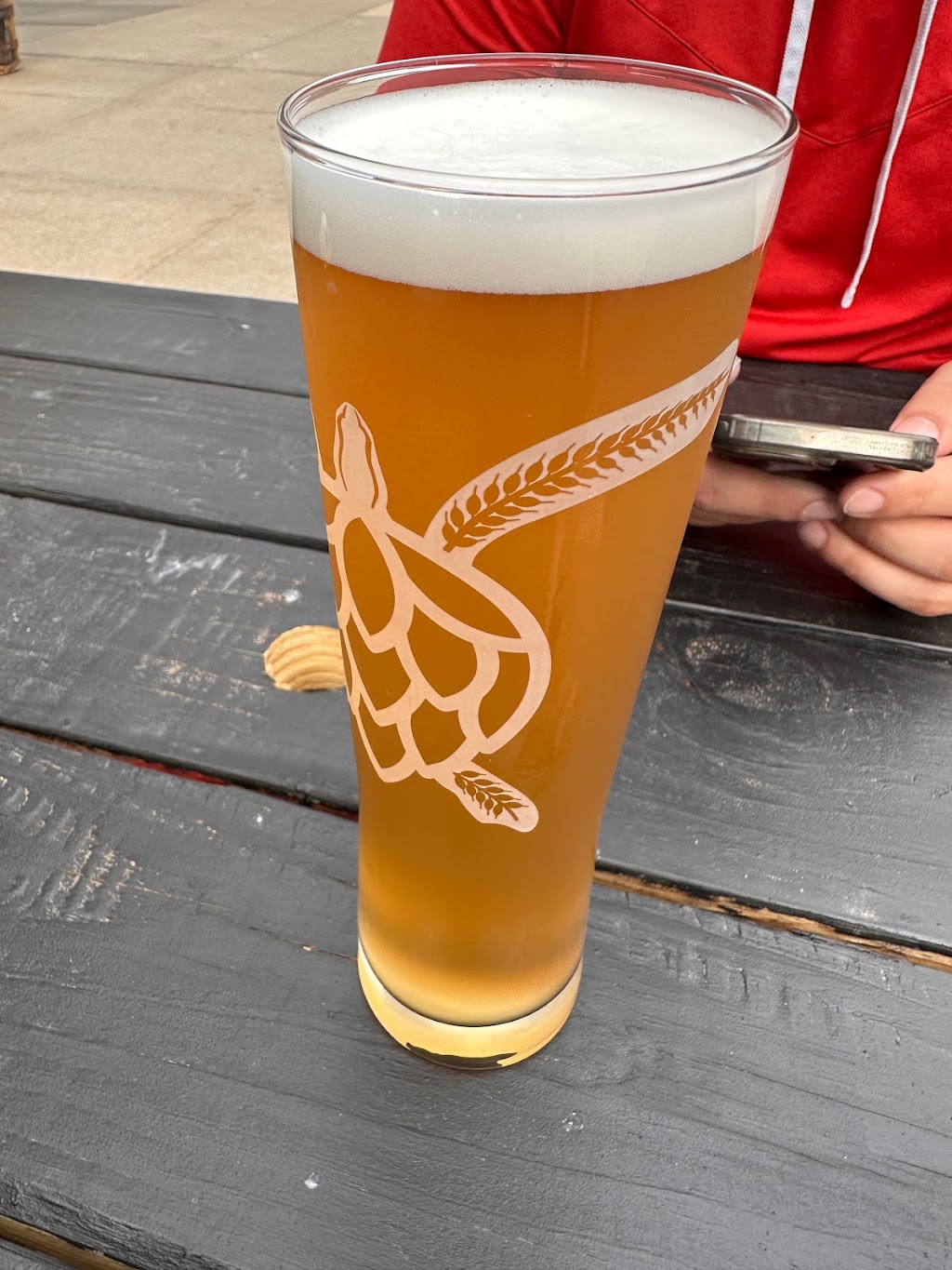 The Copper Turtle Brewery & Taverne | restaurant | 330 E Menomonee St, Milwaukee, WI 53202, USA | 4142266196 OR +1 414-226-6196