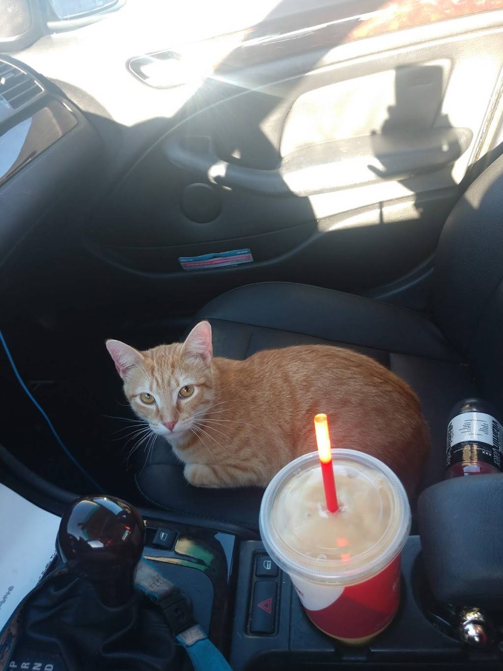 Smoothie King | restaurant | 2520 Keith St NW #4, Cleveland, TN 37311, USA | 4233396726 OR +1 423-339-6726