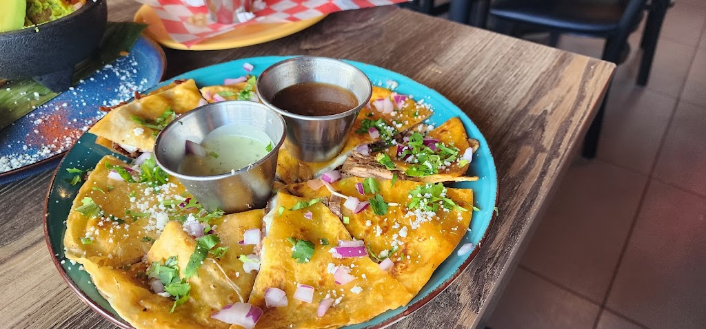 Q onda taqueria | restaurant | 10575 SW 109th Ct, Miami, FL 33176, USA | 3052005386 OR +1 305-200-5386