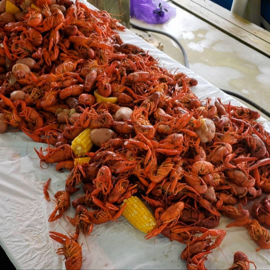 Gandy Seafood Cajun Market Murfreesboro | restaurant | 2445 Memorial Blvd D, Murfreesboro, TN 37129, USA | 6159566590 OR +1 615-956-6590