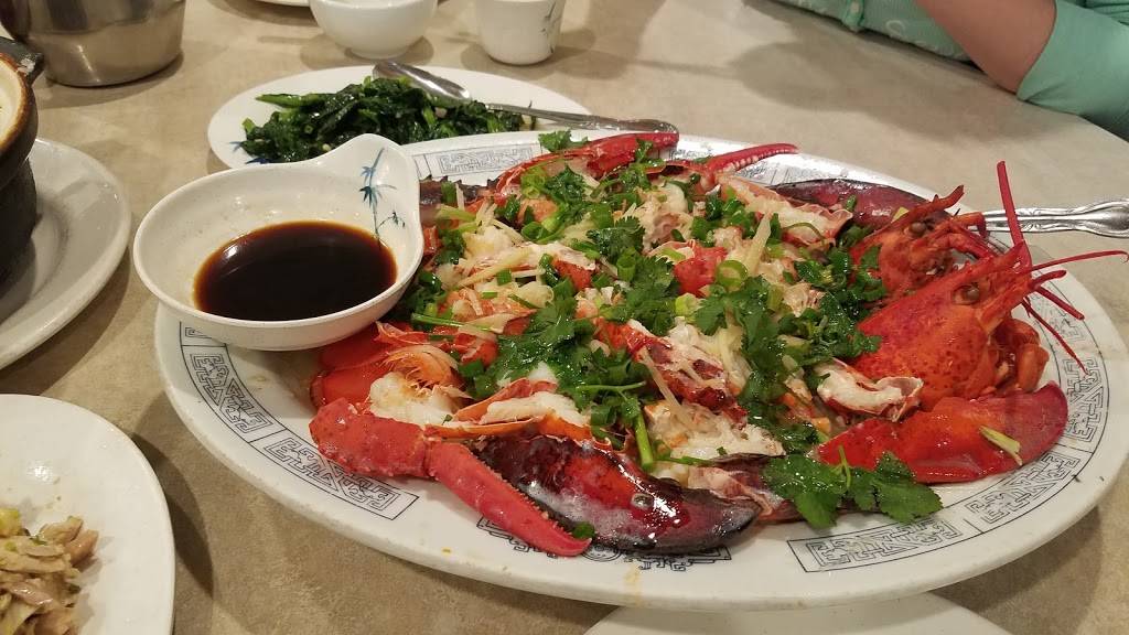 Golden Bull Restaurant | restaurant | 242 W Cermak Rd, Chicago, IL 60616, USA | 3128081668 OR +1 312-808-1668