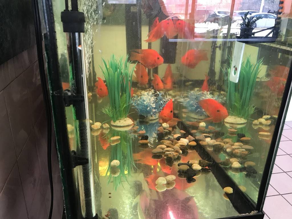 Tasty House | restaurant | 253 Avenue U, Brooklyn, NY 11223, USA | 7183720006 OR +1 718-372-0006