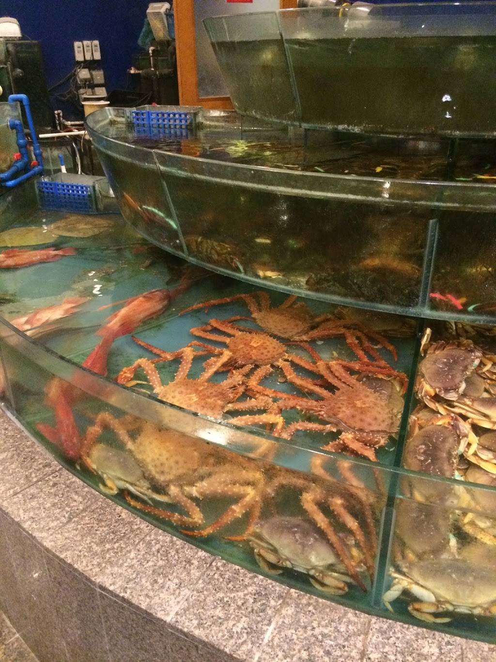 Asian Pearl Seafood Restaurant | restaurant | 3288 Pierce St A118, Richmond, CA 94804, USA | 5105266800 OR +1 510-526-6800