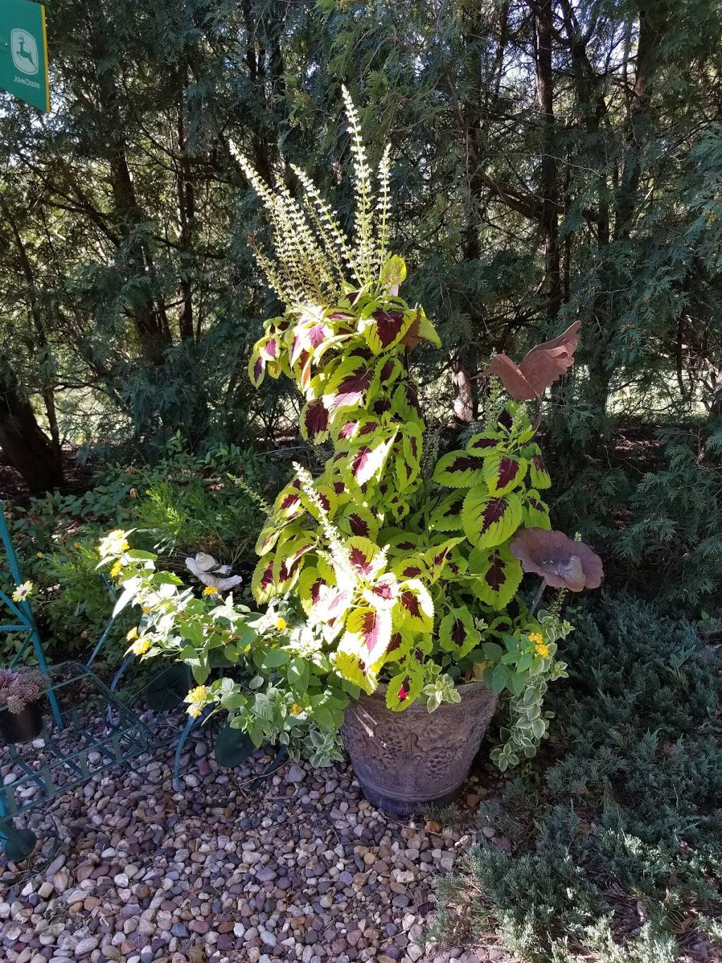 Dairy Mart | restaurant | 2521 Vine Ave, Ainsworth, IA 52201, USA | 3196572739 OR +1 319-657-2739