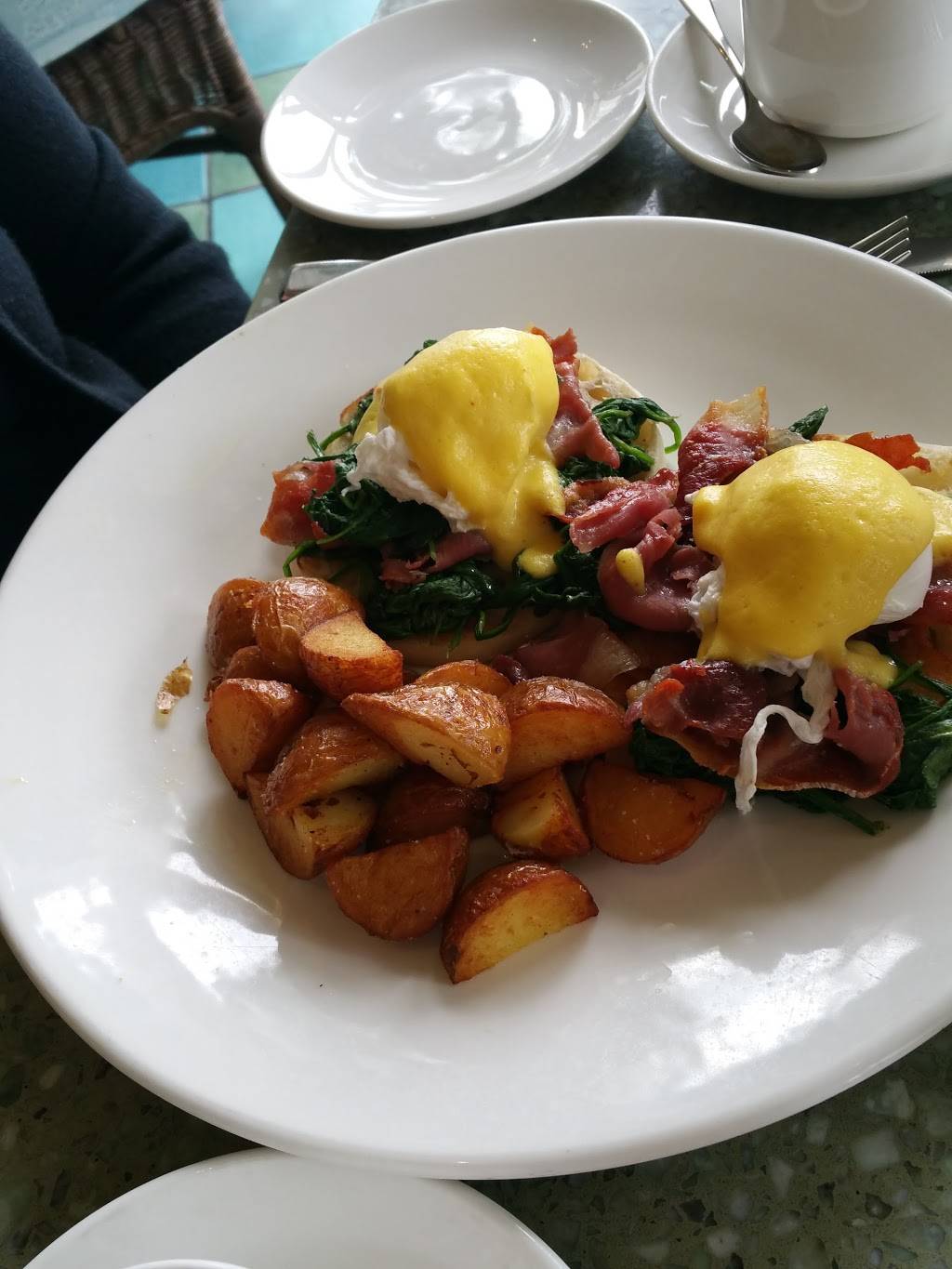 Terrazza | restaurant | 1910 Ocean Way, Santa Monica, CA 90405, USA | 3105815533 OR +1 310-581-5533