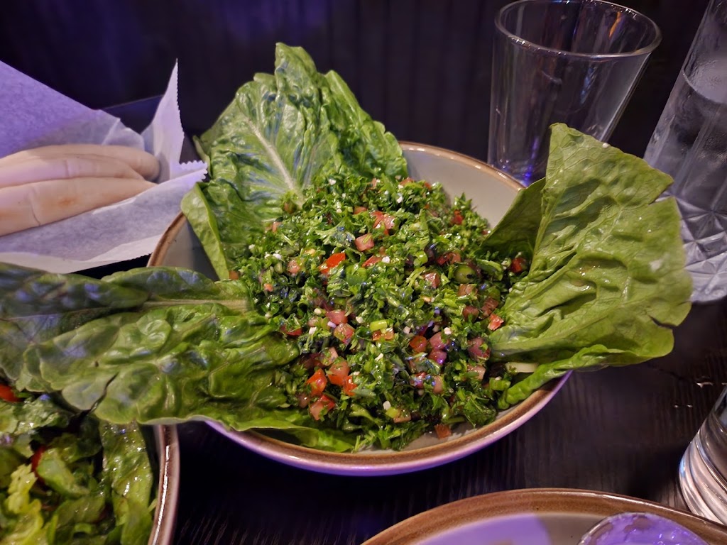 Mazaj Atlanta | restaurant | 3312 Peachtree Industrial Blvd Suite #1, Duluth, GA 30096, USA | 7706961368 OR +1 770-696-1368