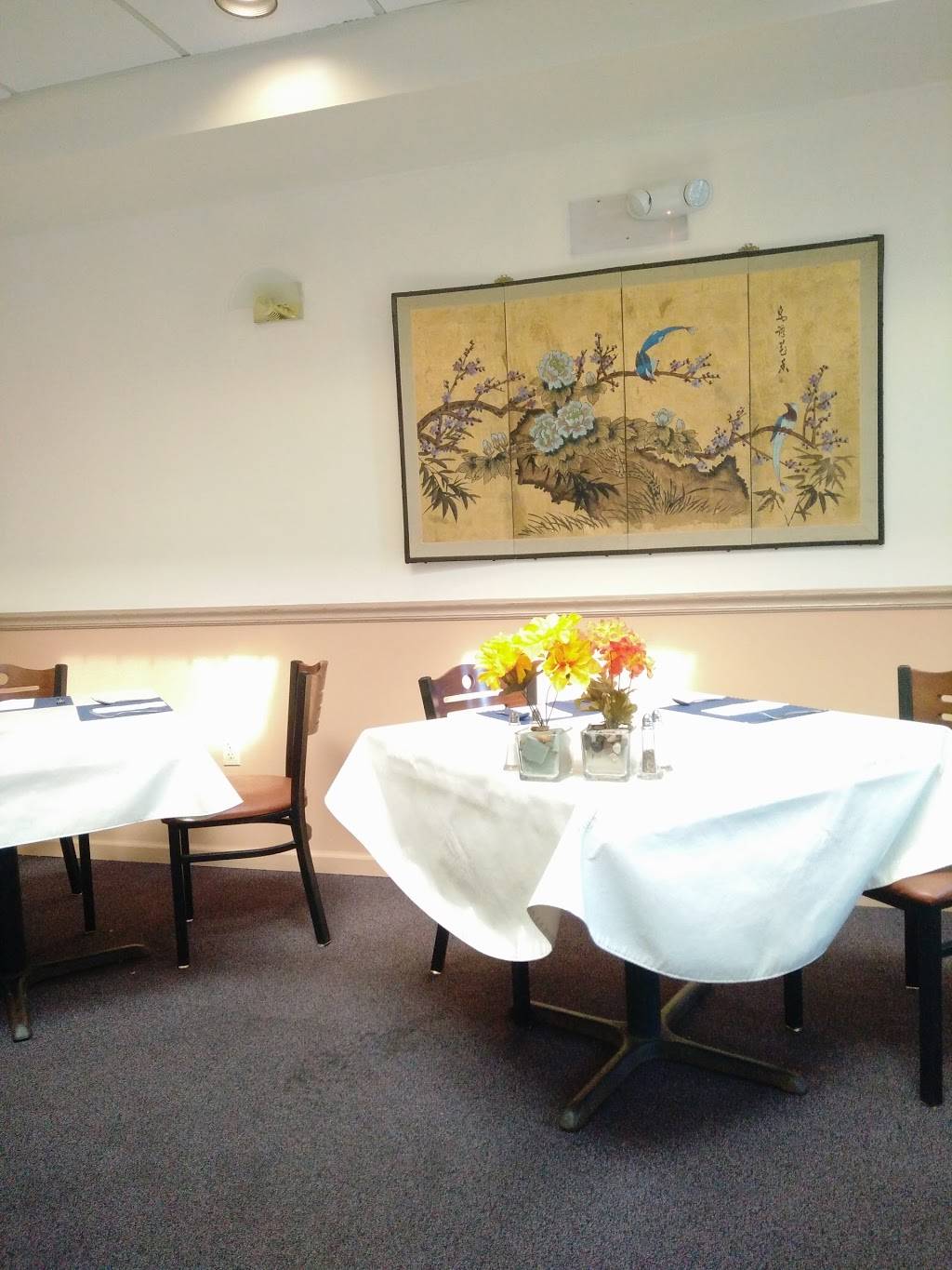 May Jen Chinese Restaurant | restaurant | 47 Kenmore Ave, Amherst, NY 14226, USA | 7168325162 OR +1 716-832-5162
