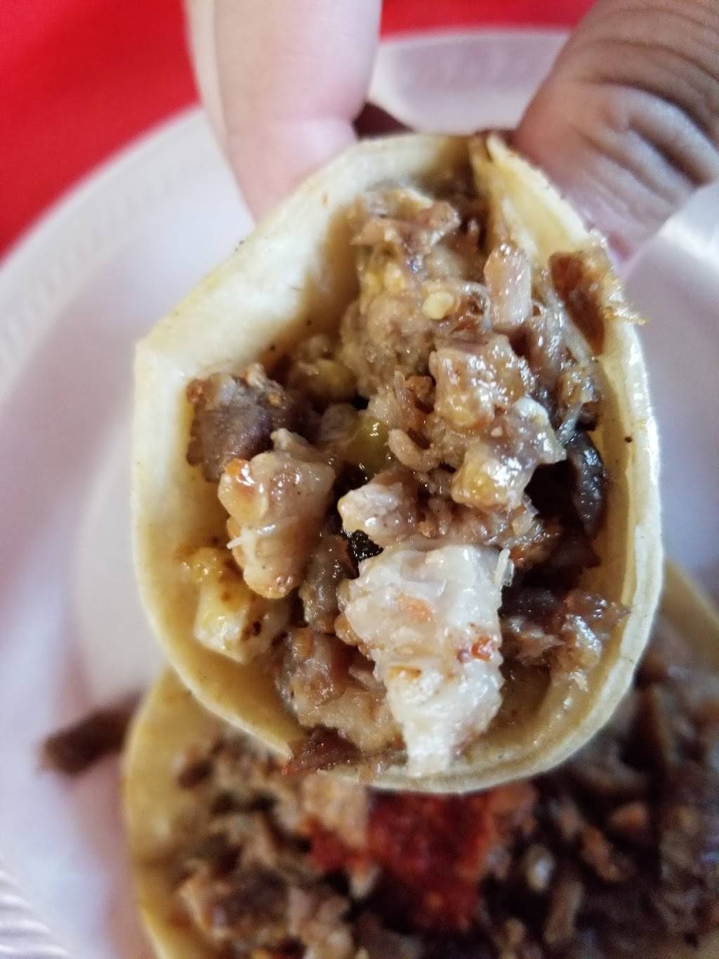 El Sabor De Mi Tierra | restaurant | 1395 S Sheridan Blvd, Lakewood, CO 80232, USA | 7202539658 OR +1 720-253-9658