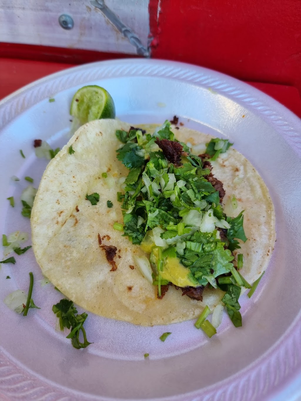 La Taqueria Oaxaqueña De Doña Ana | restaurant | 834 N Jacob Smart Blvd, Ridgeland, SC 29936, USA | 8439294511 OR +1 843-929-4511