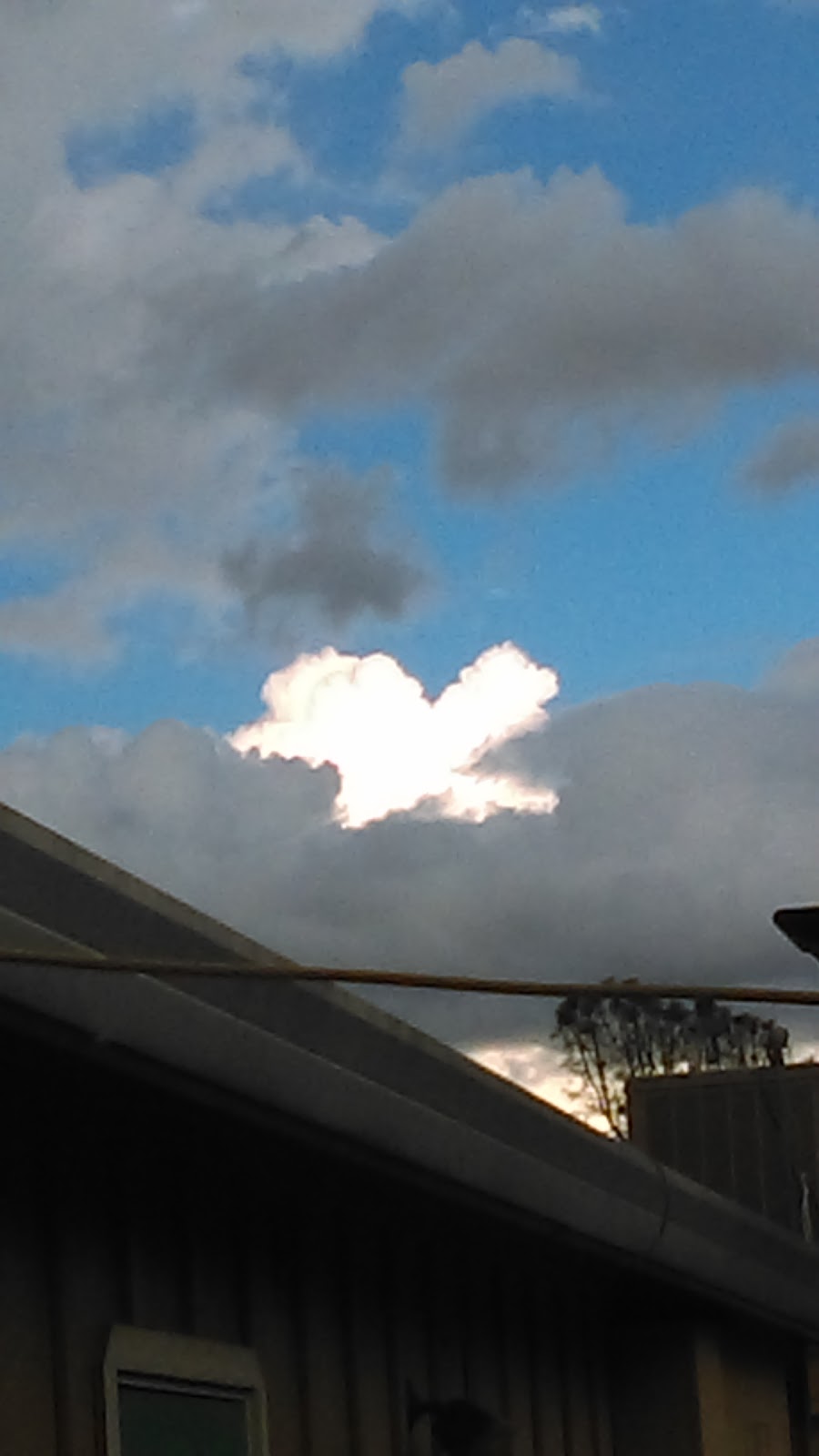 Lakeside Market & Gas | meal takeaway | 5250 Olive Hwy B, Oroville, CA 95966, USA | 5305894600 OR +1 530-589-4600