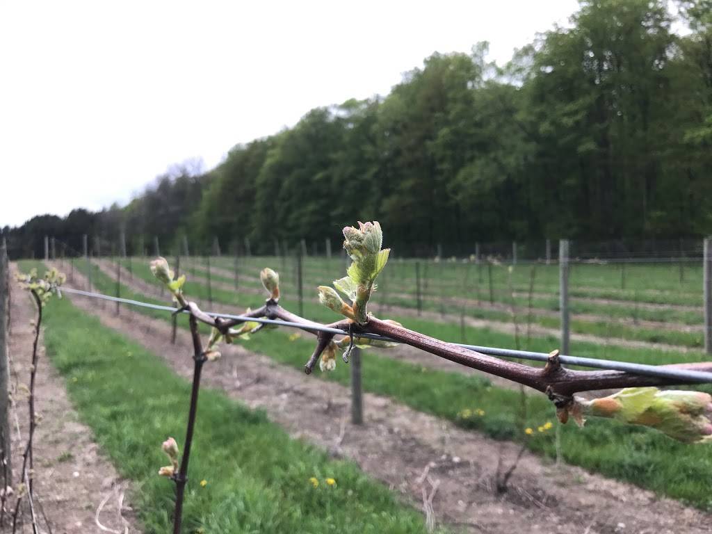 Mackinaw Trail Winery & Brewery - Petoskey | restaurant | 3423 US-131, Petoskey, MI 49770, USA | 2314871910 OR +1 231-487-1910