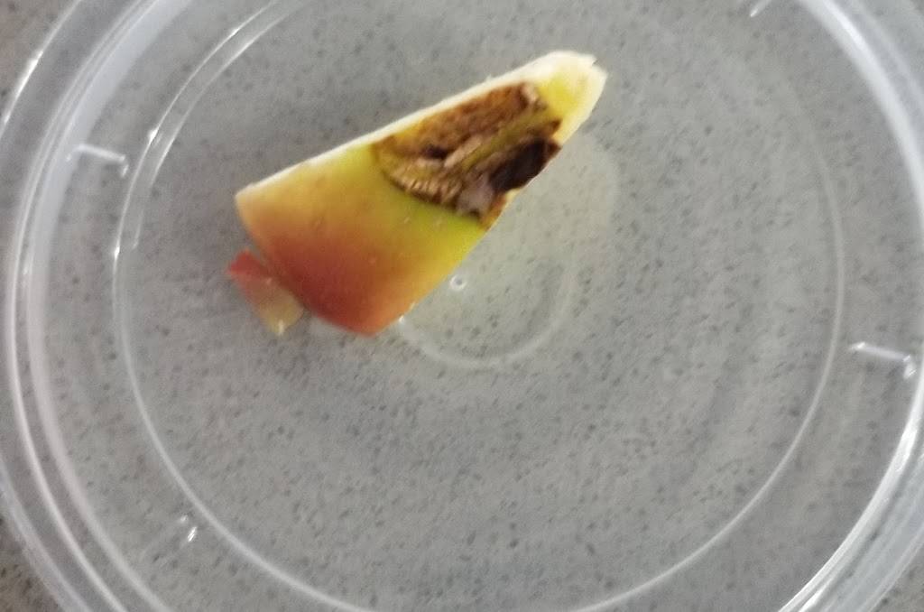 Wendys | restaurant | 231 Main St E, Rainsville, AL 35986, USA | 2566383225 OR +1 256-638-3225