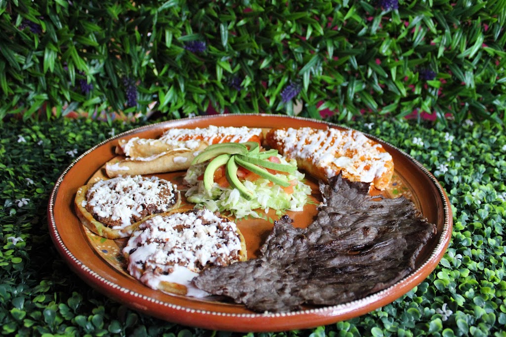Sabor De Acayucan | restaurant | 2708 Cesar Chavez Rd, Alamo, TX 78516, USA | 9569614300 OR +1 956-961-4300
