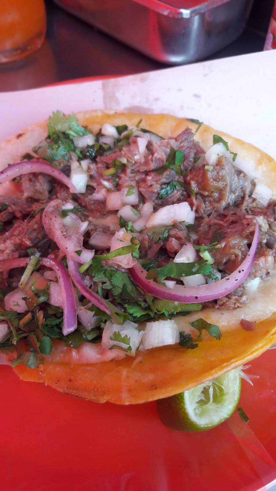 Tacos Manuel (De Birria) | restaurant | Calle Antonio Plaza SN_C, Infonavitlomas del Porvenir, Tijuana, B.C., Mexico | 016642555684 OR +52 664 255 5684