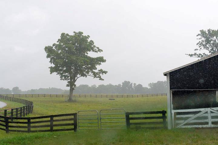 Tennessee Grass Fed Farm | restaurant | 335 Williams Rd, Clarksville, TN 37043, USA | 6153475454 OR +1 615-347-5454