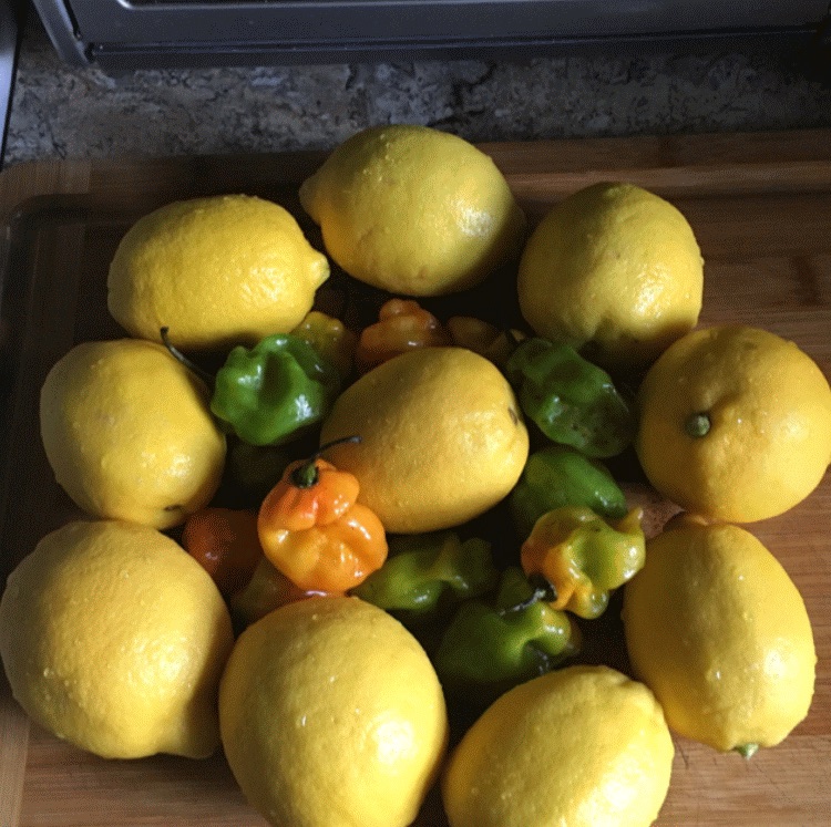 3 Demetries Eatery | restaurant | 323 NW 2nd Ave, Delray Beach, FL 33444, USA | 5618623072 OR +1 561-862-3072