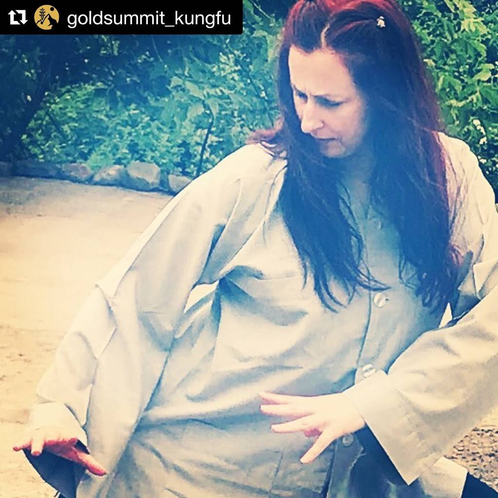 Gold Summit Kungfu Tai Chi Institute | restaurant | 255 Great Arrow Ave suite 112, Buffalo, NY 14207, USA | 7168743939 OR +1 716-874-3939