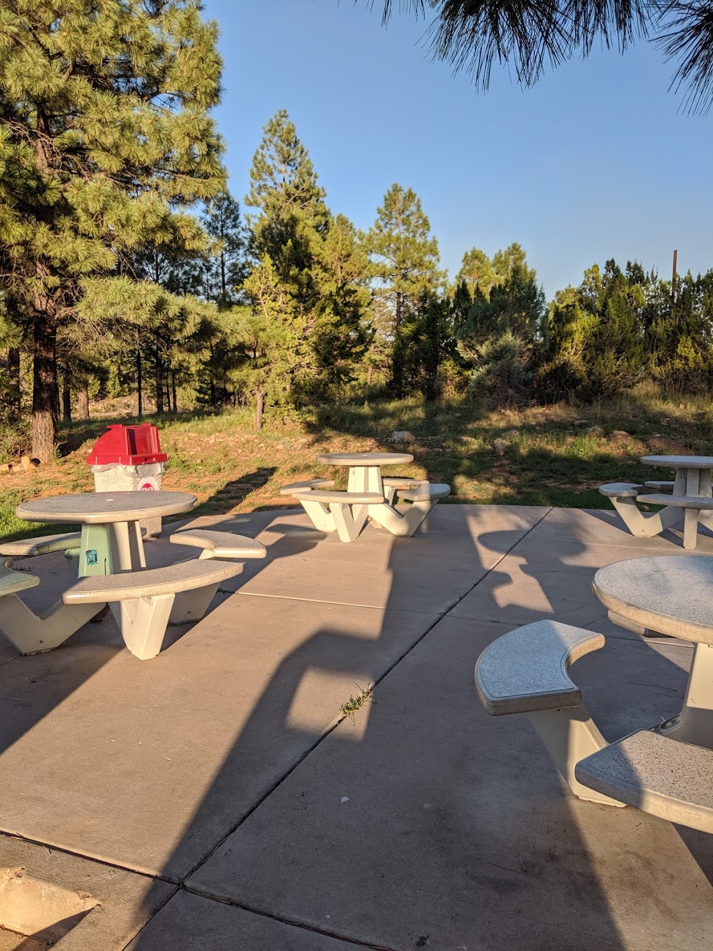 Dairy Queen | restaurant | 1977 AZ-260, Overgaard, AZ 85933, USA | 9285355859 OR +1 928-535-5859