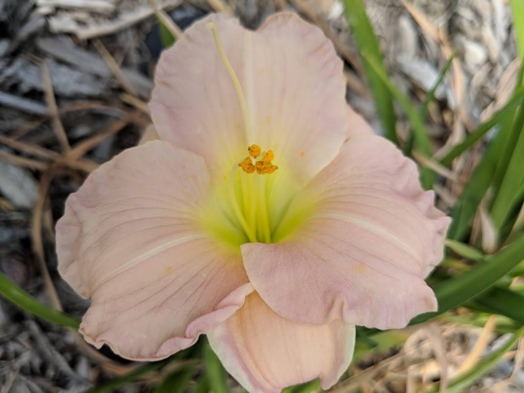 Cafe 538 Tin | cafe | 538 Superior Ave, Newport Beach, CA 92663, USA | 9496452233 OR +1 949-645-2233