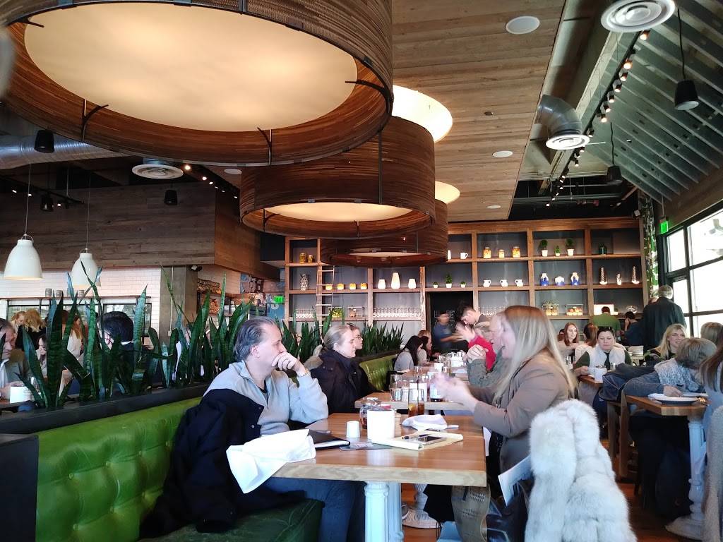 True Food Kitchen | restaurant | The Plaza at Preston Center |, 8383 Preston Center Plaza Suite 100, Dallas, TX 75225, USA | 2143773333 OR +1 214-377-3333