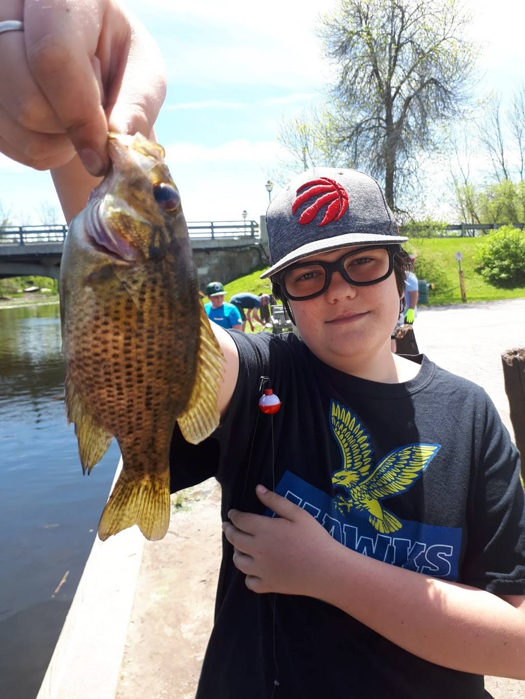 Bills Pizza House | restaurant | 3 King St E, Omemee, ON K0L 2W0, Canada | 7057997676 OR +1 705-799-7676