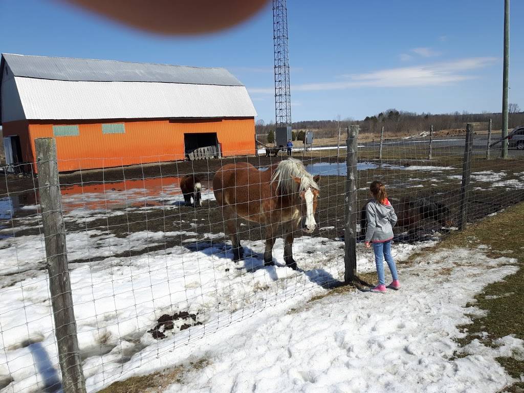 Ferme Drouin Farm | restaurant | 1230 Rte 400, Casselman, ON K0A 1M0, Canada | 6137642181 OR +1 613-764-2181