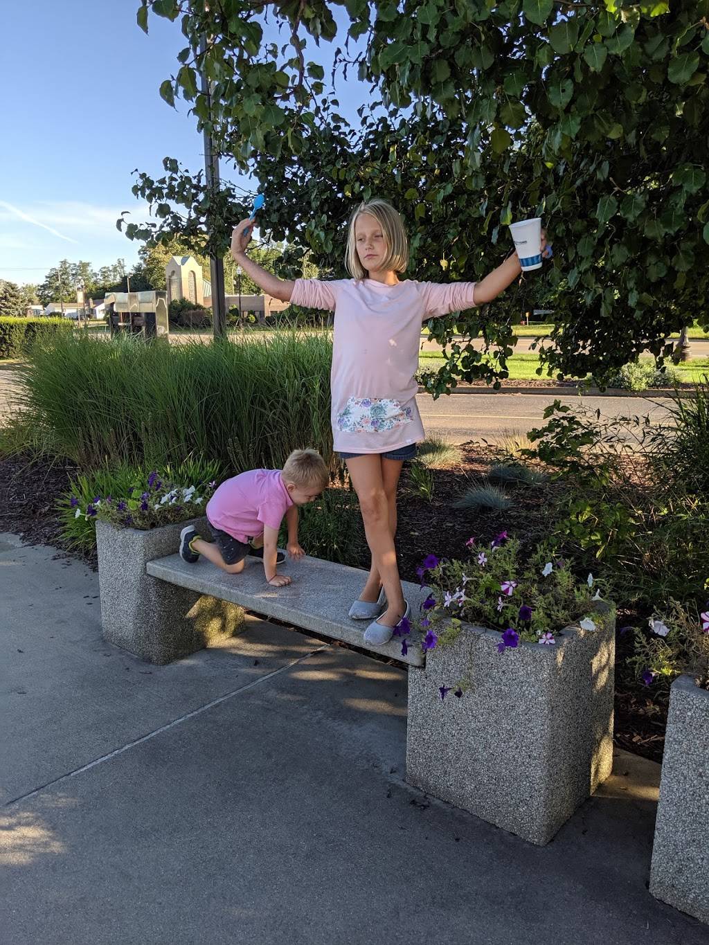 Ritters Frozen Custard Brighton | restaurant | 5962 Meridian Blvd, Brighton, MI 48116, USA | 8102296992 OR +1 810-229-6992