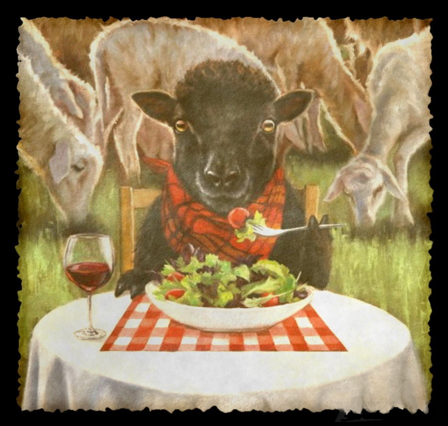 Blacksheepsalads | restaurant | 123 N Tuscarawas Ave, Dover, OH 44622, USA | 3304478635 OR +1 330-447-8635