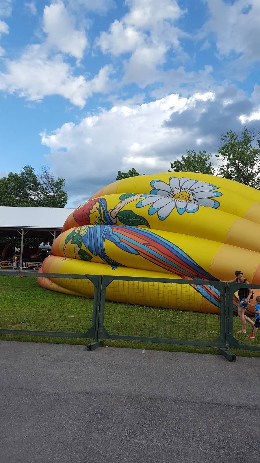 Saratoga Balloon and BBQ Festival | restaurant | 162 Prospect St, Ballston Spa, NY 12020, USA | 5184807651 OR +1 518-480-7651