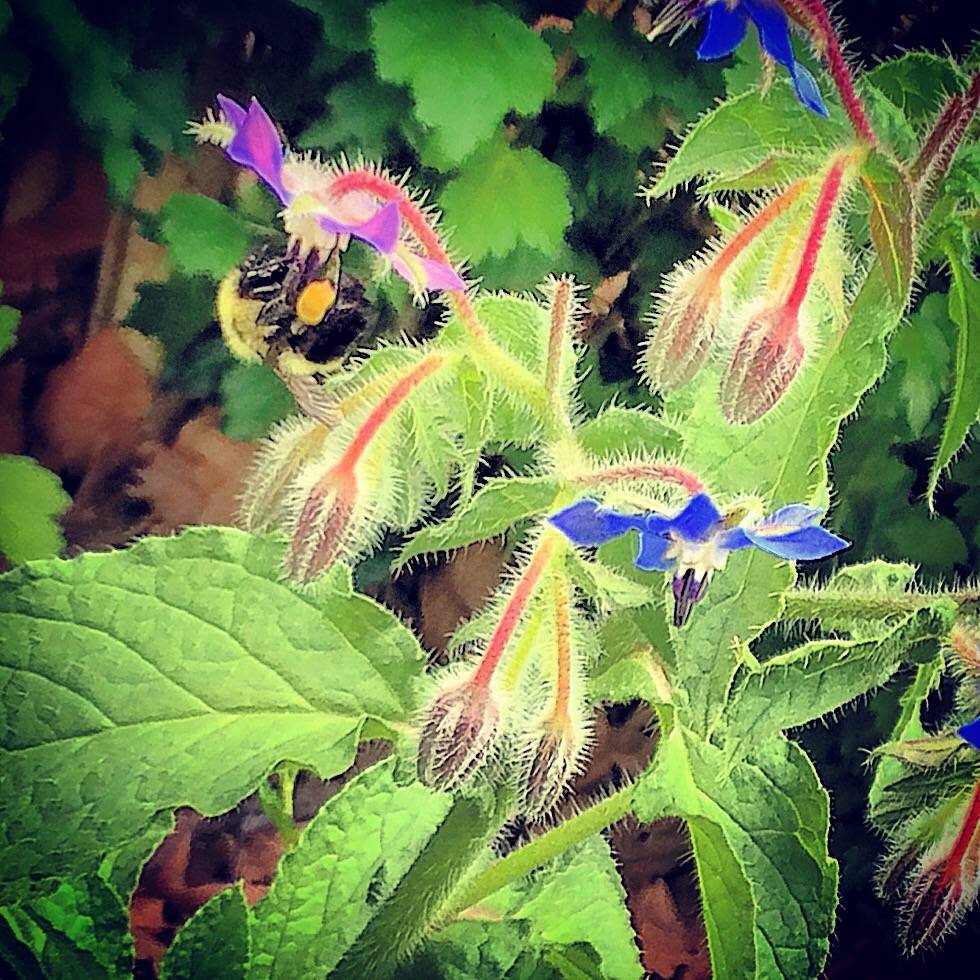 Seasons Restaurant | restaurant | 372 Butler St, Etna, PA 15223, USA | 4122046147 OR +1 412-204-6147