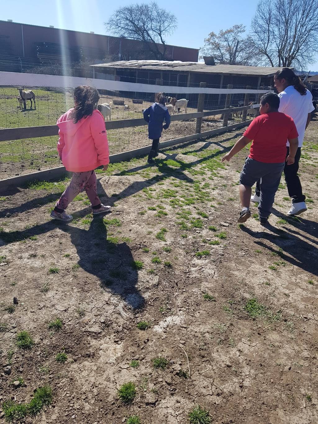 Rancho Medrano | restaurant | 12195 Old Redwood Hwy, Healdsburg, CA 95448, USA | 7078365414 OR +1 707-836-5414