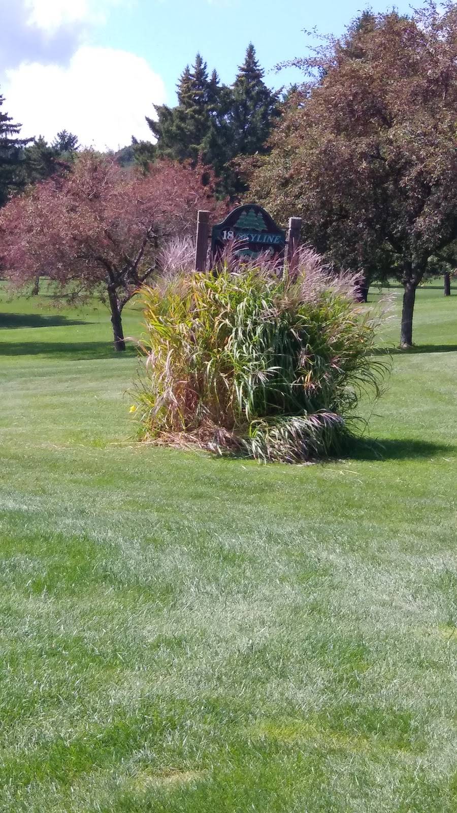 Skyline Golf Course & Restaurant | restaurant | 612 N 11th St, Black River Falls, WI 54615, USA | 7152842613 OR +1 715-284-2613